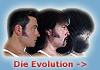 Die Evolutions-Animation